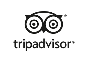 Tripadvisor-Logo mit einem abstrakten Eulengesicht über dem Wort „Tripadvisor“ in Kleinbuchstaben.